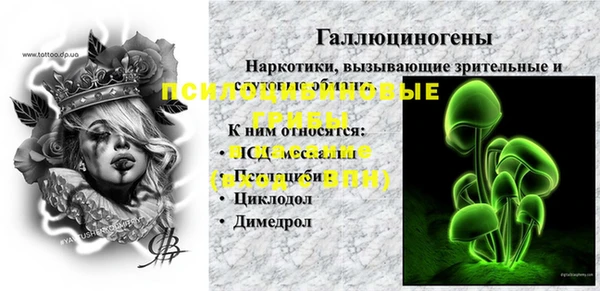 не бодяженный Бородино