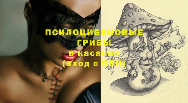 не бодяженный Бородино