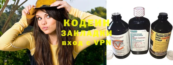 не бодяженный Бородино